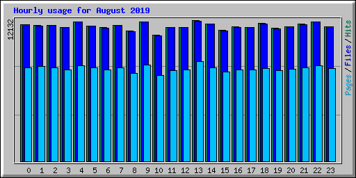 Hourly usage for August 2019