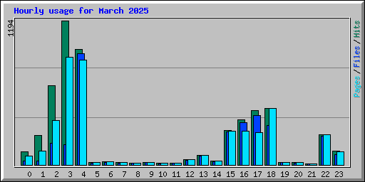Hourly usage for March 2025